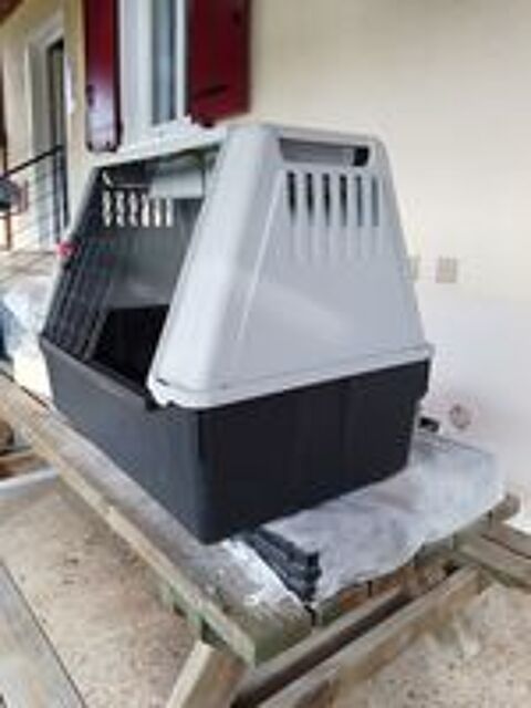   Caisse transport de chiens  