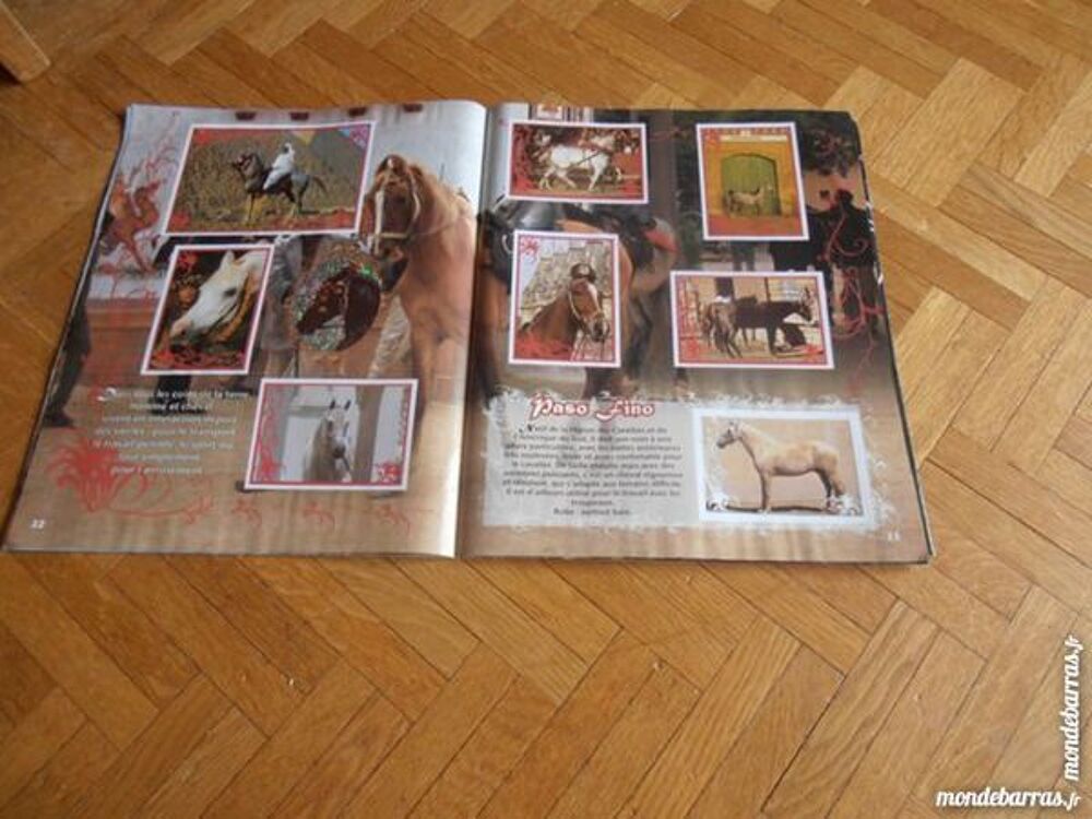 Album Chevaux 3 (76) 