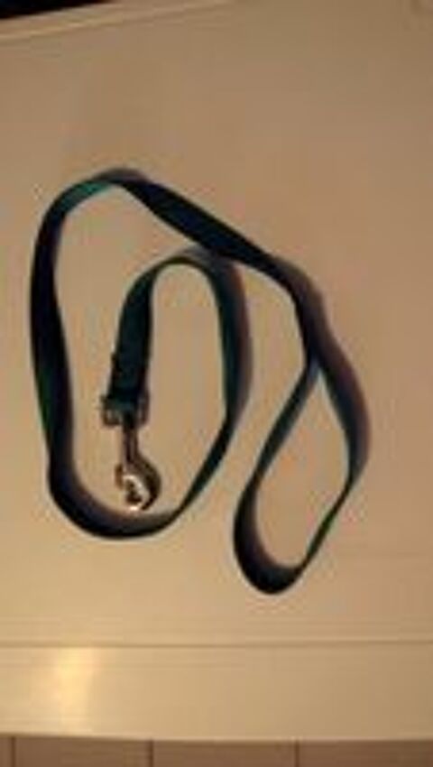   Laisse Courte Chien / Chiot - Taille M 