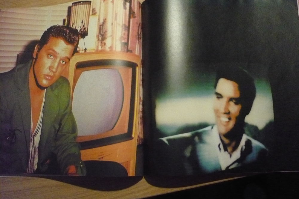 ELVIS PRESLEY ? ART ILLUSTRATED BIOGRAPHY - A Biography by Livres et BD