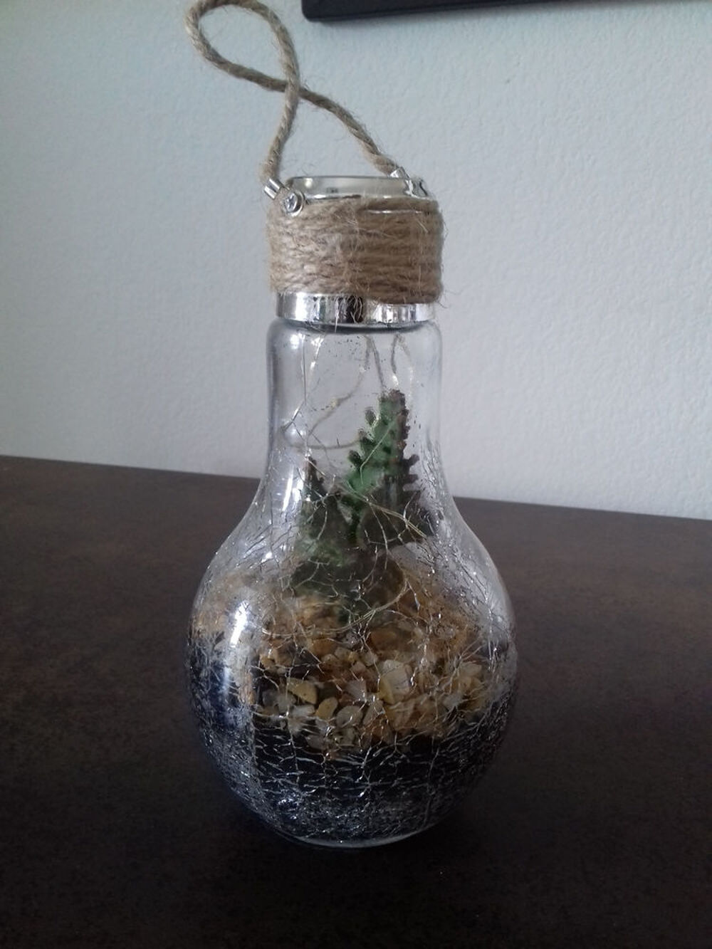 Terrarium pour d&eacute;co avec cactus 20 euros Décoration
