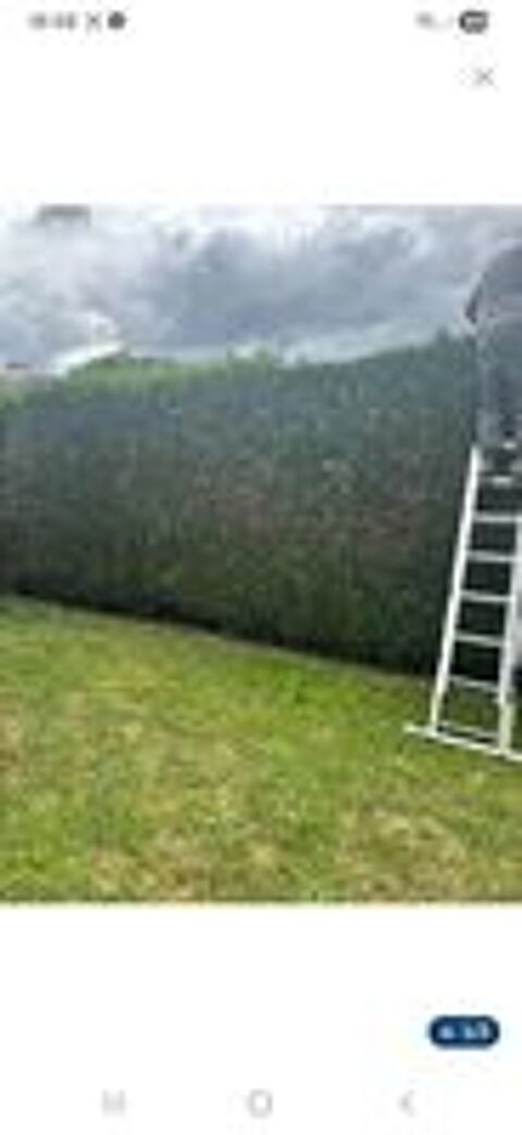   Entretien espace verts 