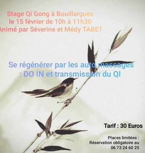 professeur de Taï Chi Chuan; Qi Gong ; Self-Defense 0 03100 Montluon