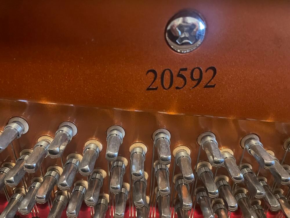 Piano acoustique Wendl &amp; Lung Instruments de musique