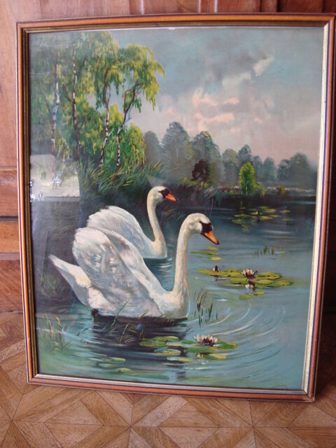 CADRE CYGNES( ANCIEN) 8 Villev�que (49)