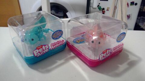 11� Axolotl Zuru 11 Rodez (12)