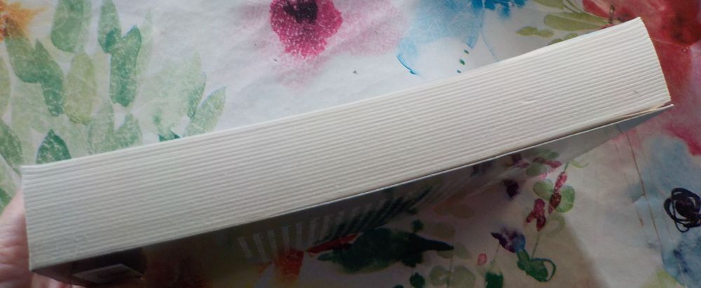 UNE NUIT, SUR LA MER de Patricia MacDONALD Ed. Albin Michel Livres et BD