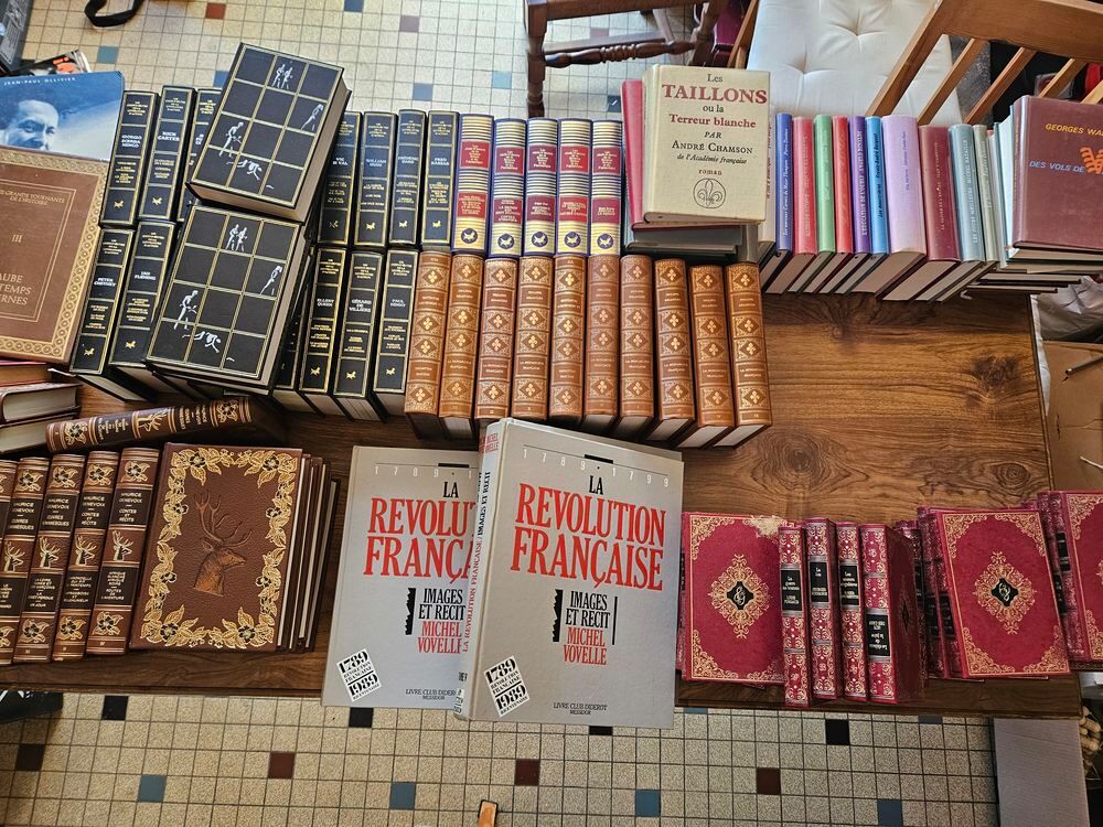 gros lot de livre de bibliotheque a saisir Livres et BD