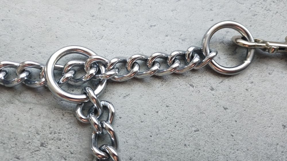Collier Cha&icirc;ne en M&eacute;tal pour Chien en Acier Inoxydable 2-en1 Sports
