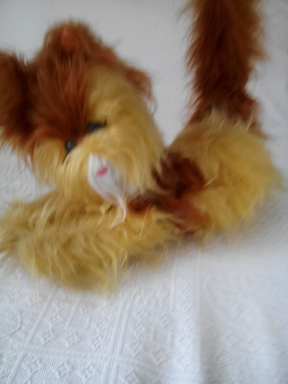 Peluche : chat couch&eacute; 
Jeux / jouets