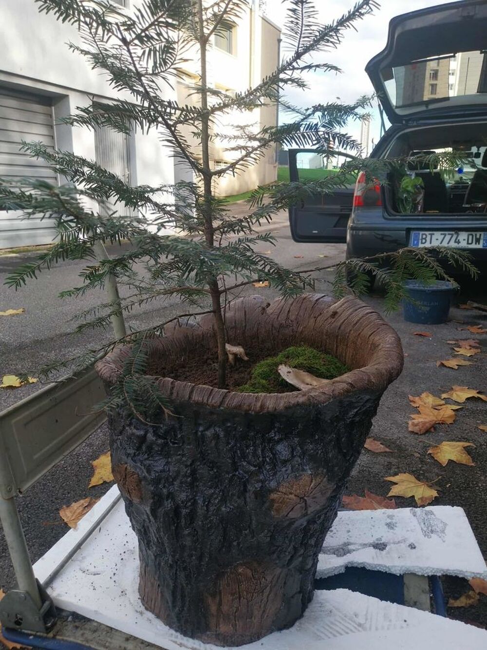 Pots de jardin d&eacute;coratifs, imitation bois Jardin