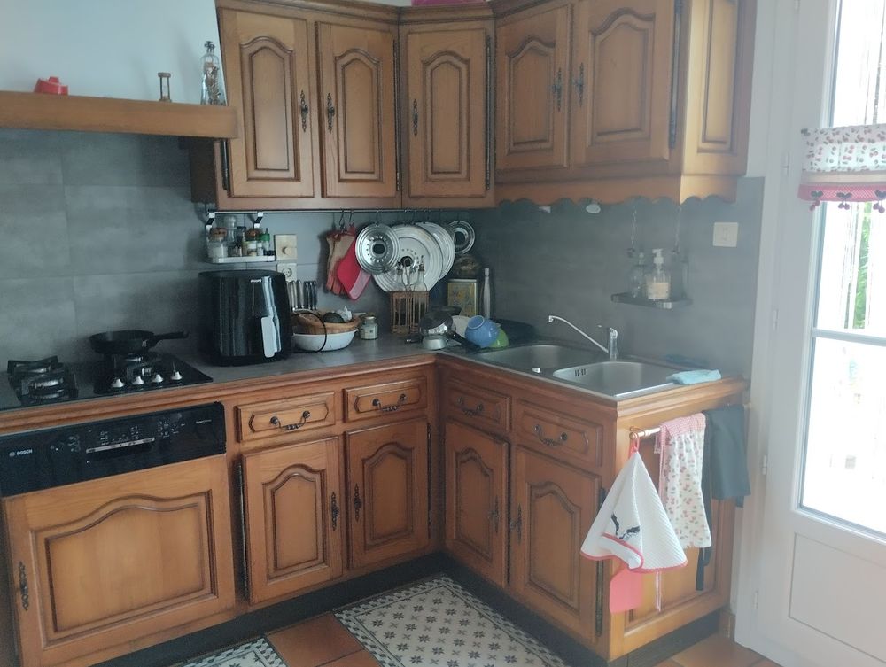Portes cuisine ch&acirc;taigner massif +poign&eacute;es Lot ou d&eacute;tail Meubles