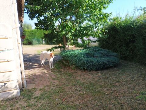  Chambre  louer 6 pices 130 m