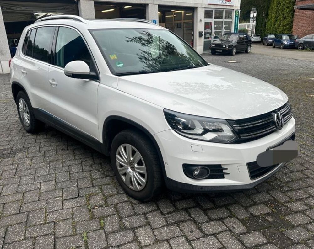 Tiguan 2014 occasion 20260 Calvi