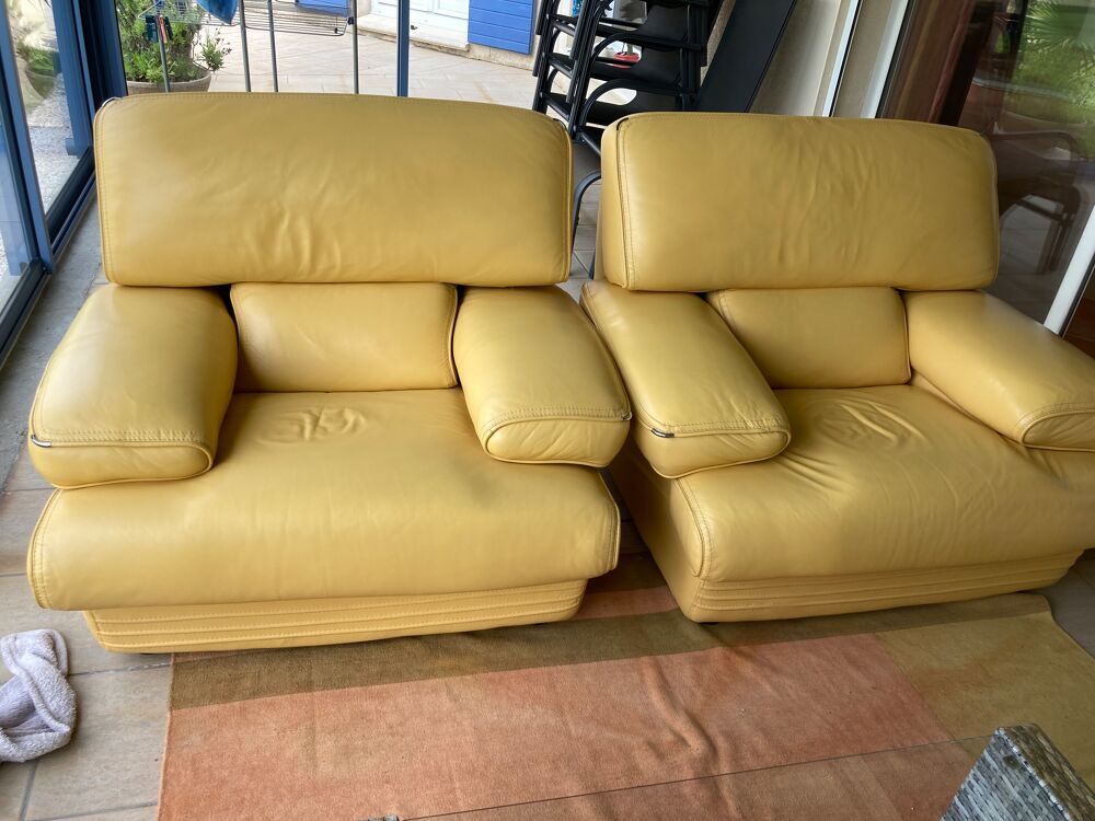 Particulier salon cuir. Meubles