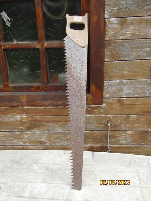 Scie gone.
20 Trguier (22)