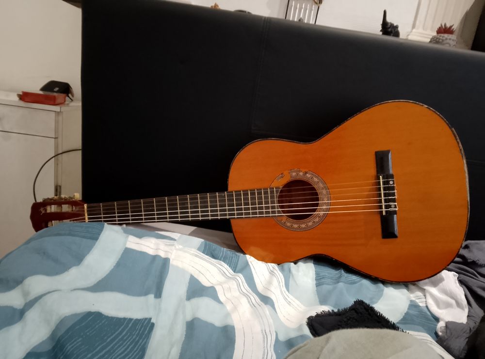 Guitare cordes compl&egrave;te pr&ecirc;te a jouer Instruments de musique