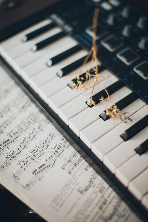 Cours de piano ou chant tous styles 0 34500 Bziers