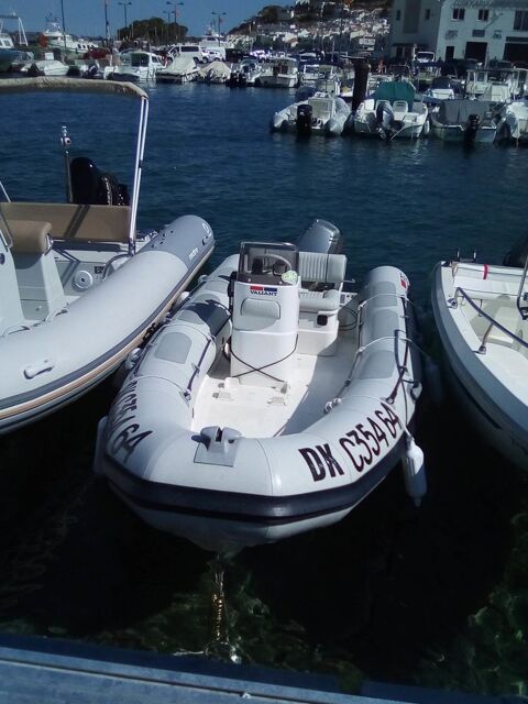 Bateaux &agrave; moteur Pneumatique - Semi-rigide 2004 occasion Vic-sur-C&egrave;re 15800