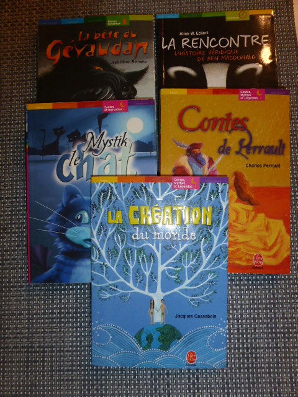 Poche Jeunesse : lot de 5 titres Livres et BD