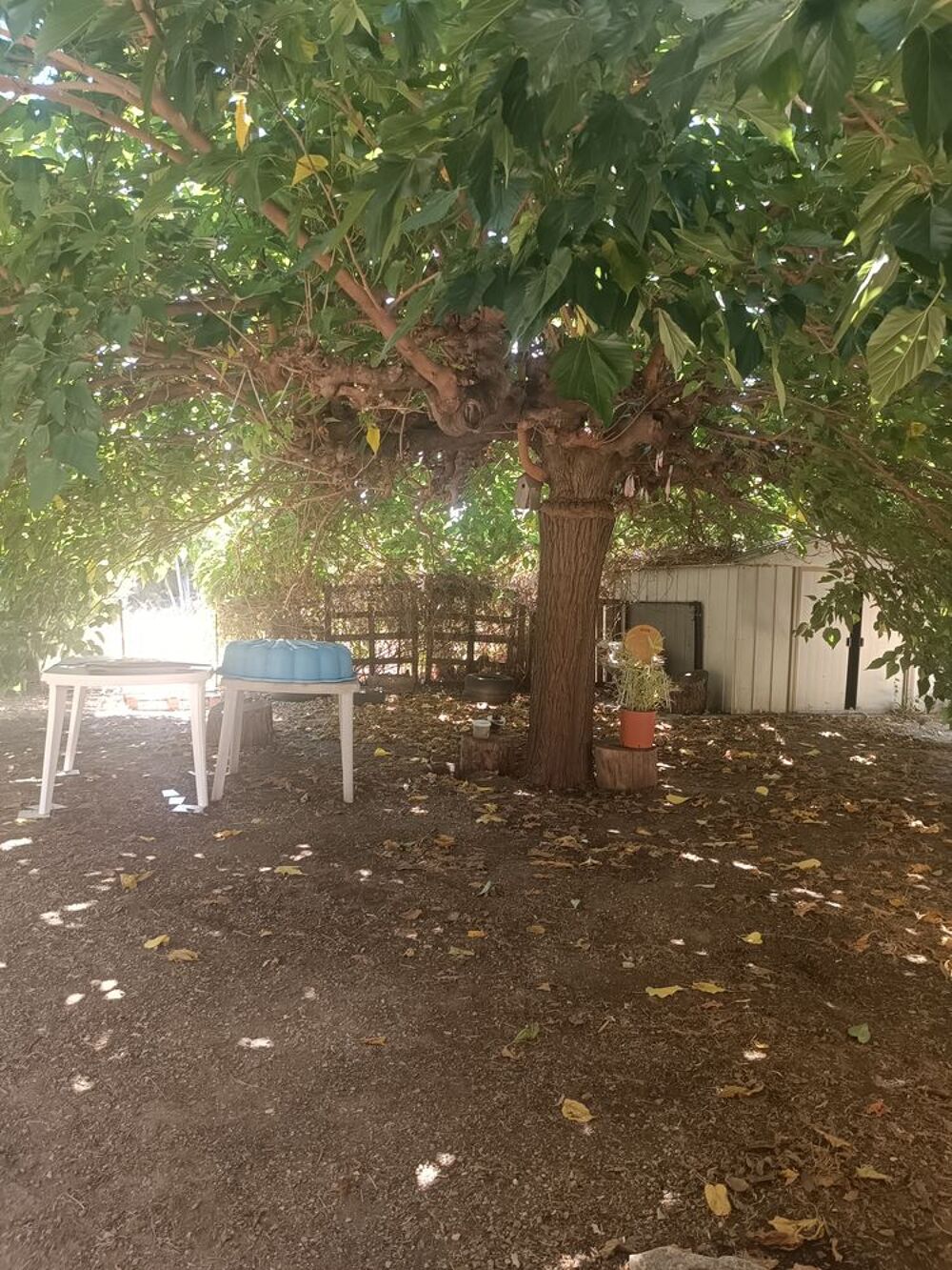 Vente Maison Maison 6 pièces 124 m2 Murviel-lès-béziers