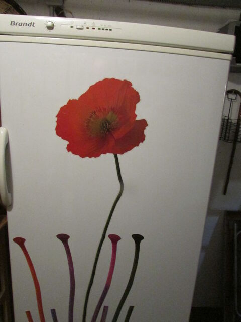 Congelateur � tirroir 50 Luceau (72)