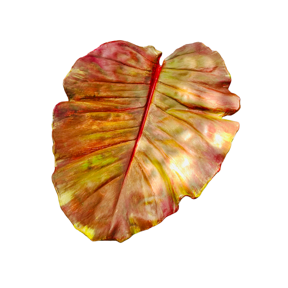 Feuille de d&eacute;coration ou fruitiers Décoration