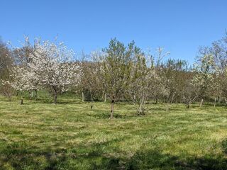  Maison � vendre 5 pi�ces 250 m�