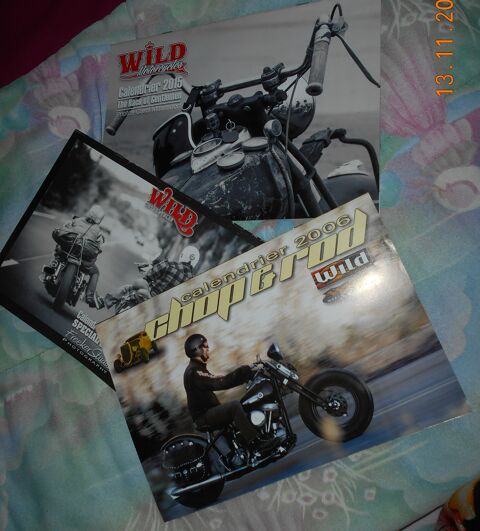 3 calendriers collector WILD motorcycles et chop & rod  5 Ervy-le-Châtel (10)