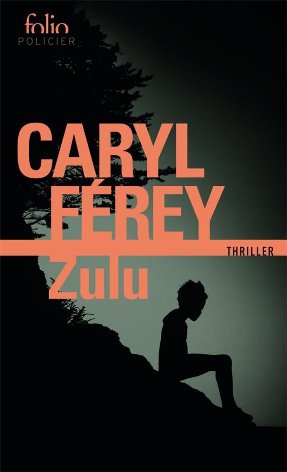 Zulu - Caryl Ferey Livres et BD