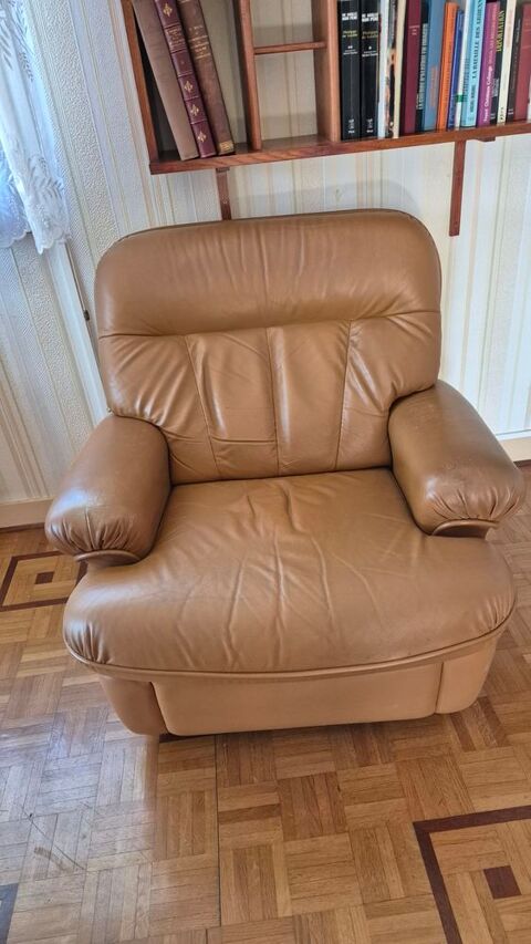 Fauteuil cuir vintage 30 Perthes (52)