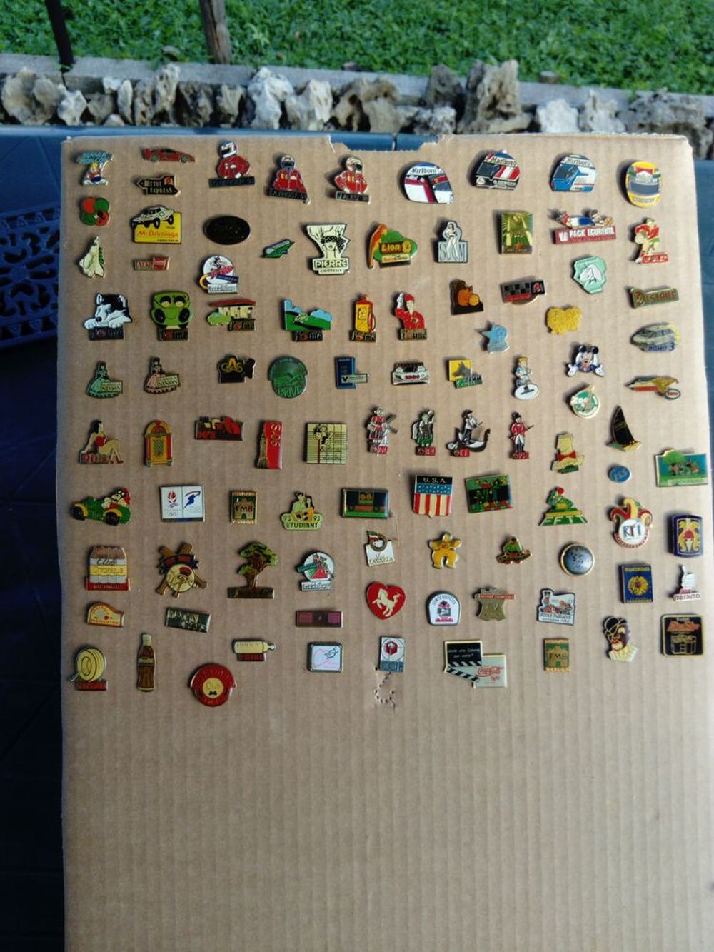 Pin s 