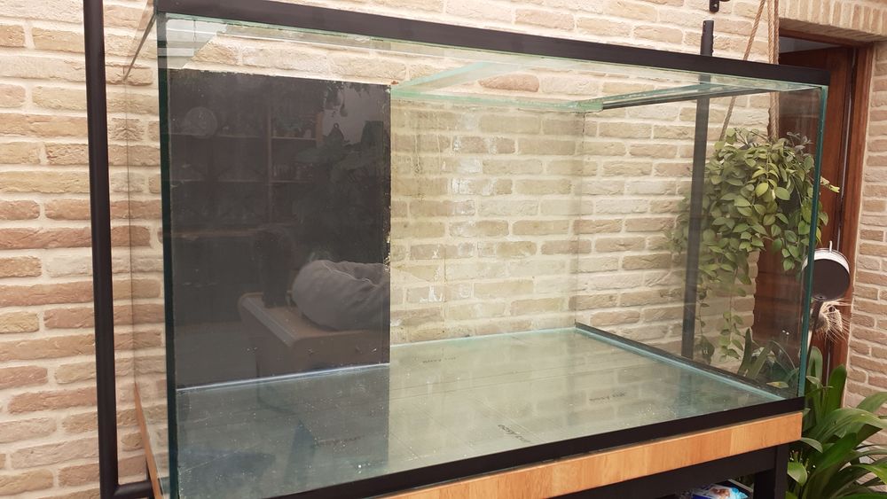AQUARIUM 'CUVE SEULE' Décoration