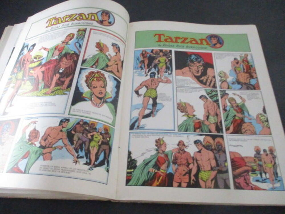 TARZAN SEIGNEUR DE LA JUNGLE Livres et BD