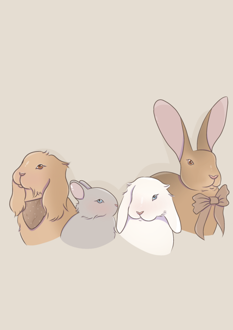 &Eacute;levage lapin de compagnie 80 27170 Beaumont-le-roger
