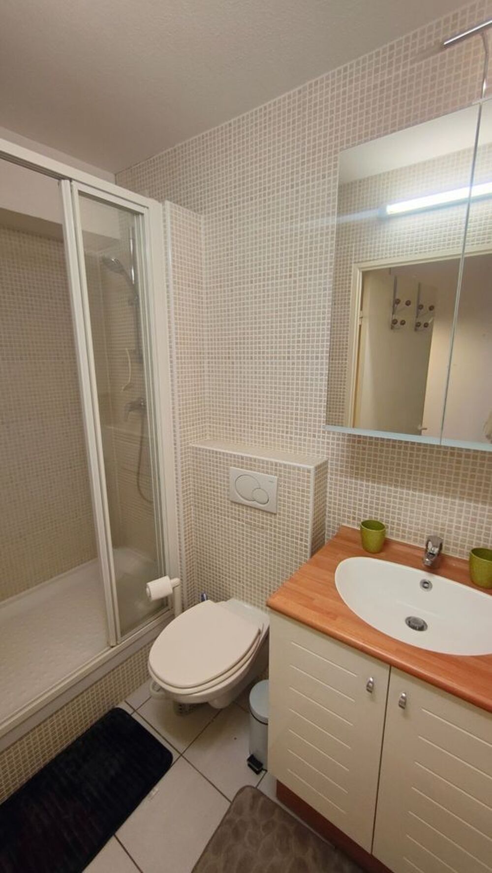 Location Appartement A LOUER STUDIO MEUBLE QUARTIER PORT MARIANNE Montpellier