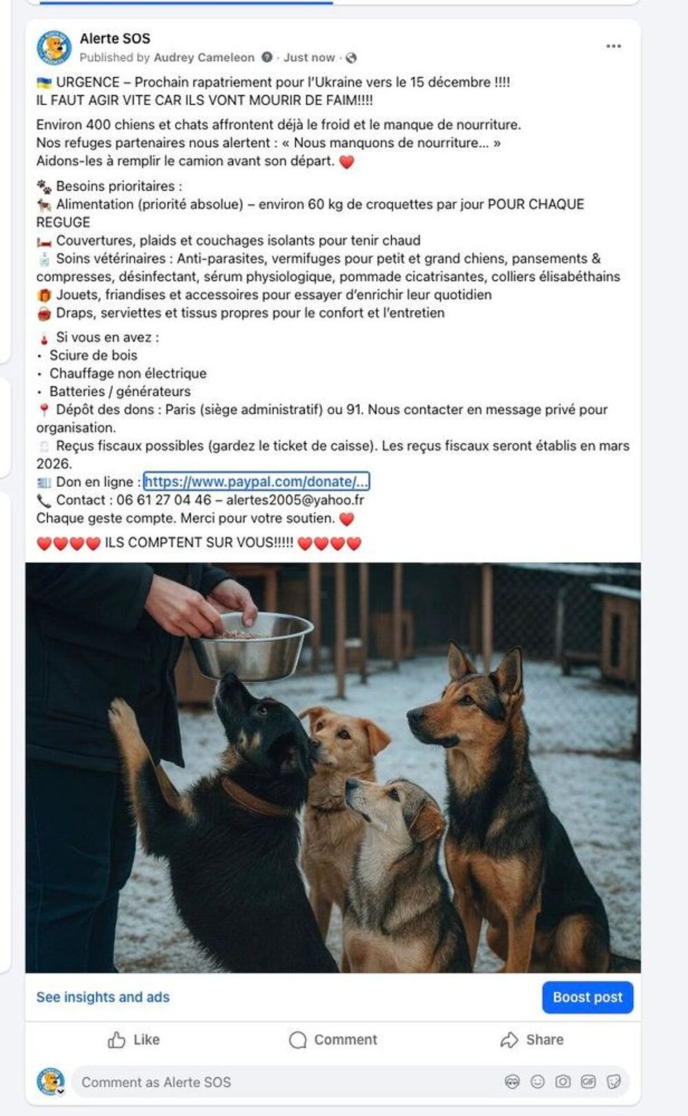   Chiens 