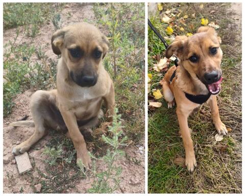 BARRIE 0 75018 Paris