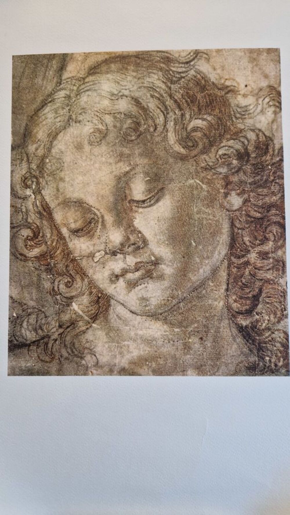Reproductions de dessins d'anciens grands peintres Décoration