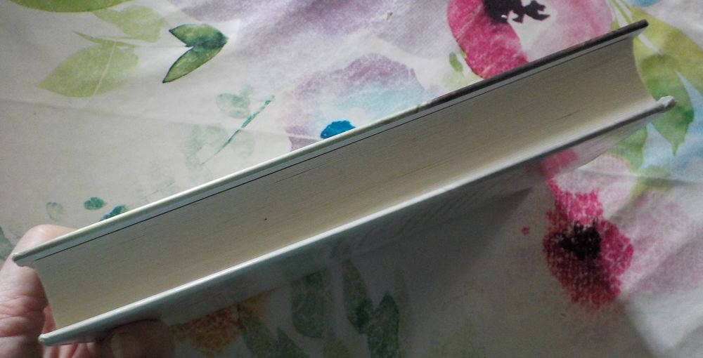 LE MONDE SANS ELLE de Kristin HANNAH Ed. France Loisirs Livres et BD