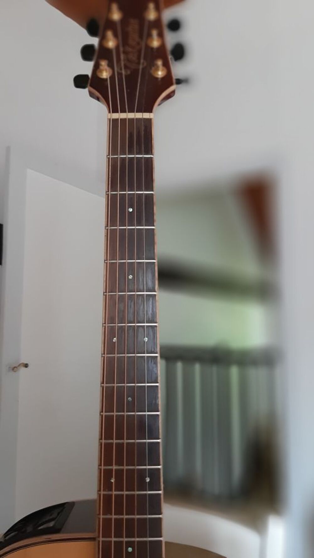 av guitare TAKAMINE Instruments de musique