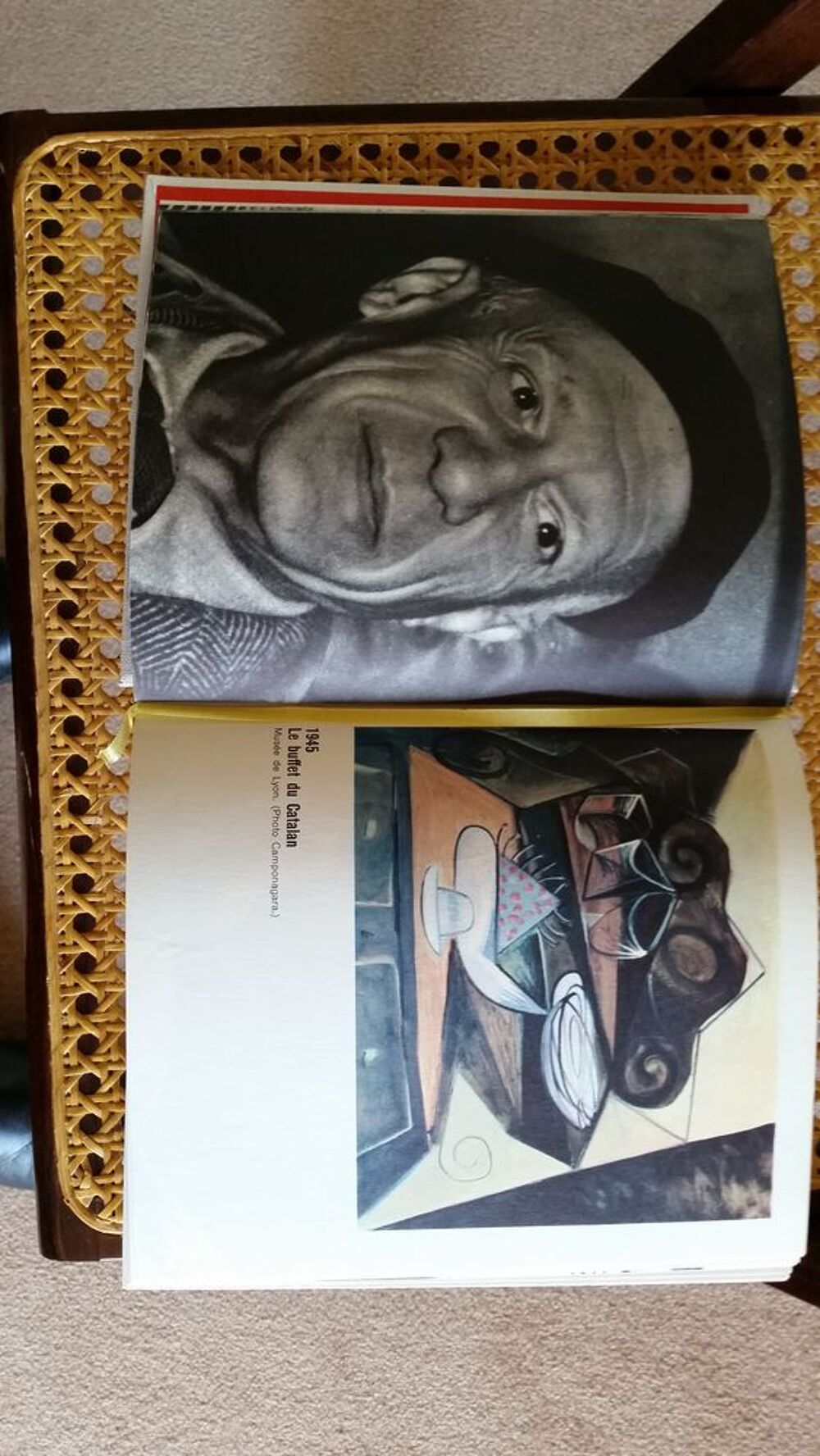 LA VIE ET L'OEUVRE DE PICASSO Livres et BD