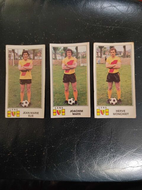 panini football 77 3 Mayenne (53)