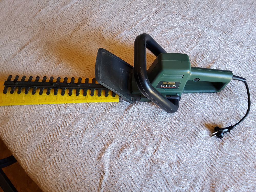 taille haie Jardin