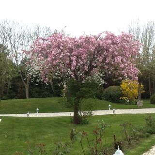  Appartement  vendre 1 pice 29 m