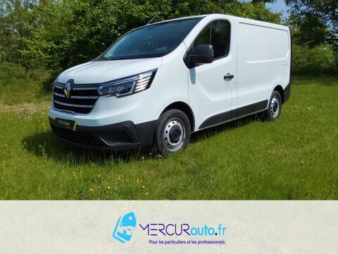 Annonce voiture Renault Trafic 17590 €