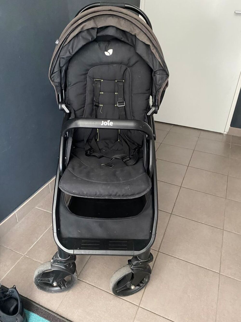 Poussette double joie occasion 2025