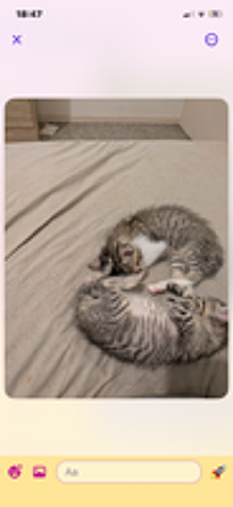   Chatons  