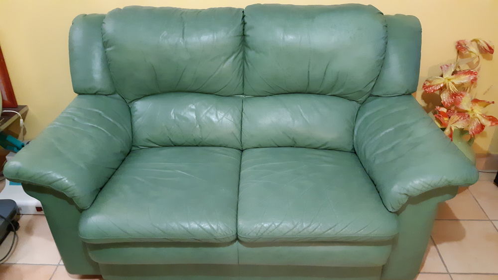 Canap&eacute; cuir vert 2&times;2places Meubles