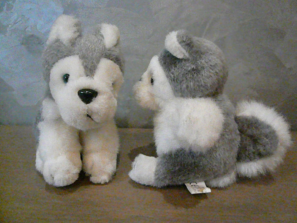 Lot de 2 chiens en peluche Jeux / jouets